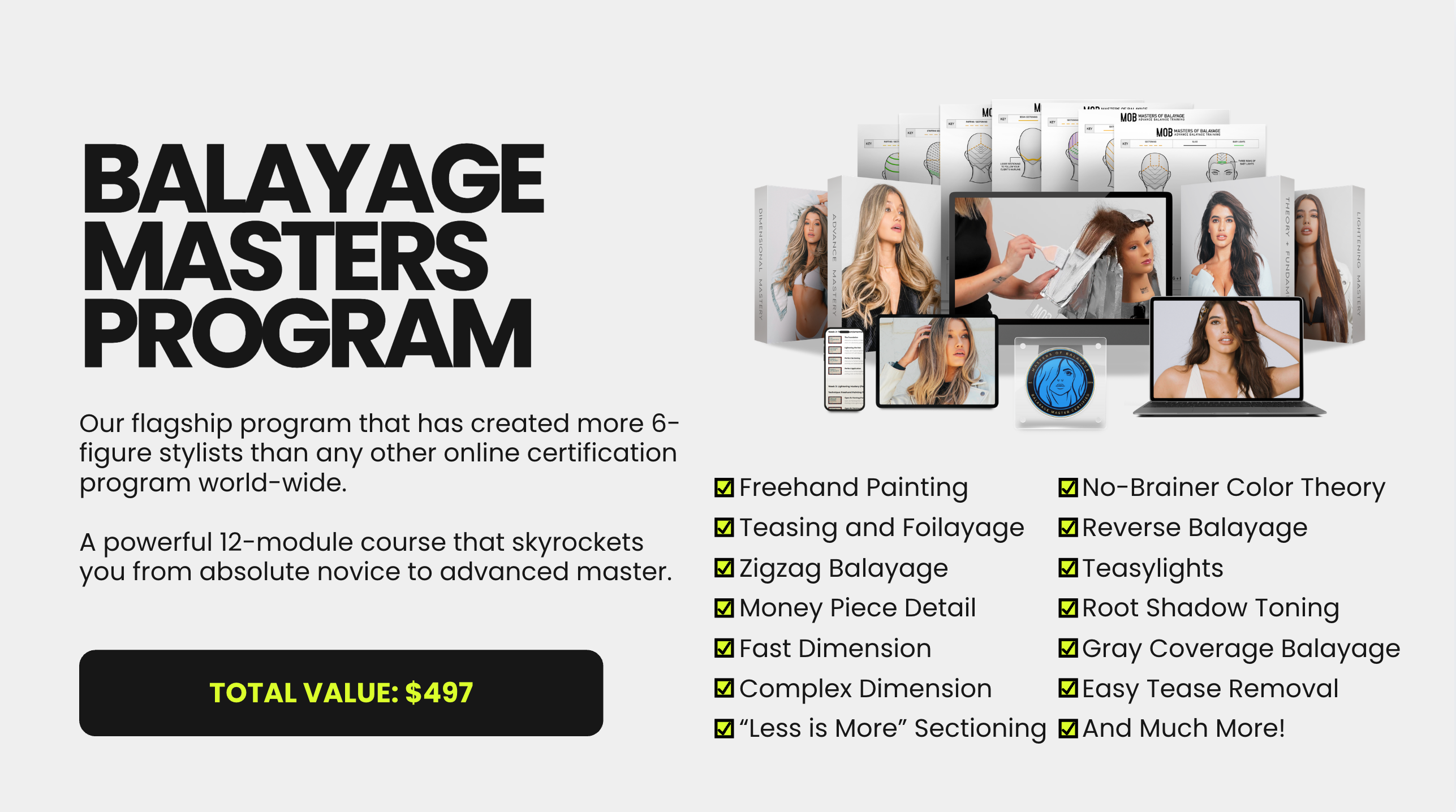 Balayage Masters Program β Online Certification Course