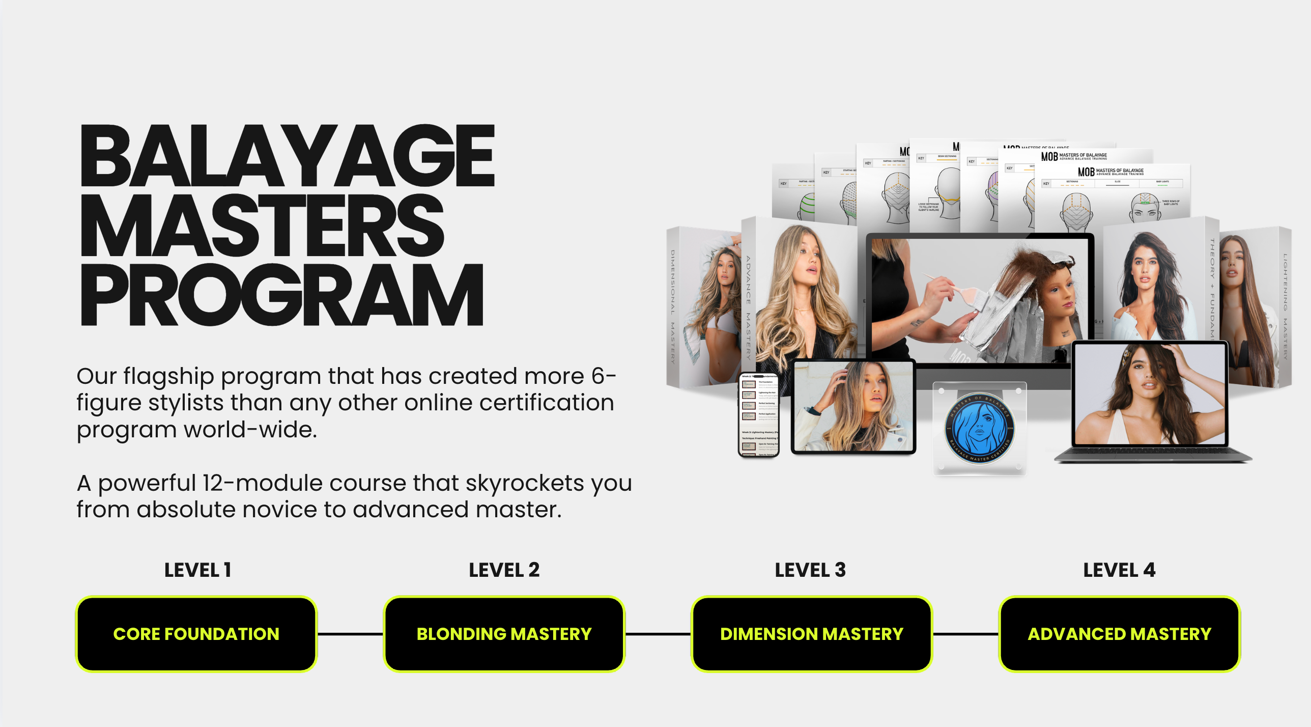Balayage Masters Program – Online Certification Course