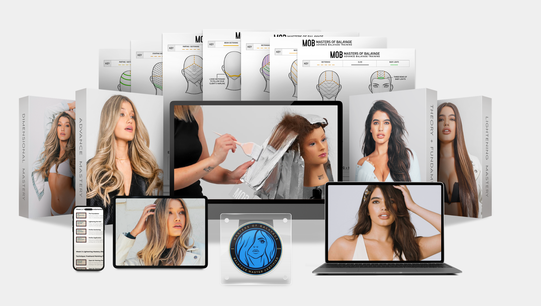 Balayage Masters Program – Online Certification Course